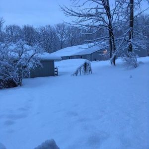 Meet your Posher, Mekin